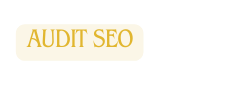 AUDIT SEO